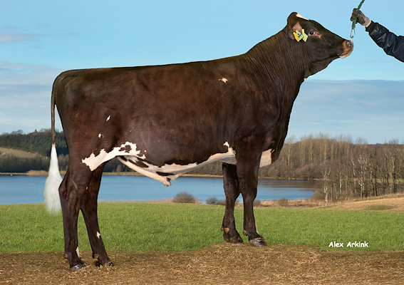 VR Veikee (VR Vehmaa).jpg