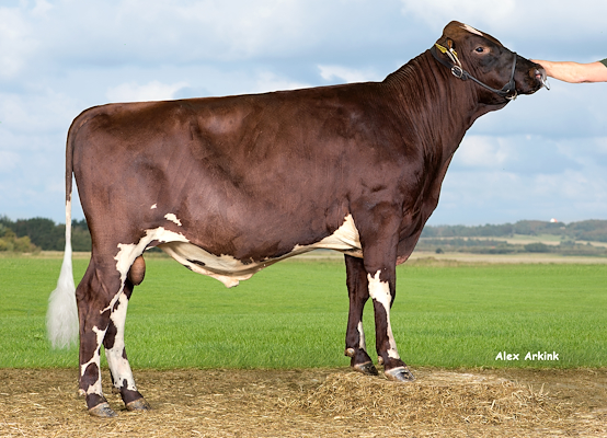 VR Verno (VR Vilano).jpg