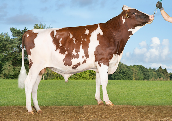 VR Vicke (VR Vehmaa).jpg