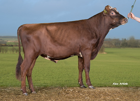 VR Viktor (VR Vimur R) 37888.jpg