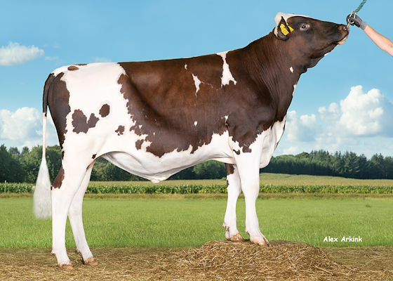 VR Volga (VR Valdo).jpg