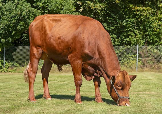 VR Waldo (VR Wanna).jpg