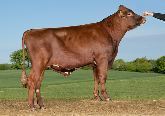 VR Westend (VR Wanna).jpg